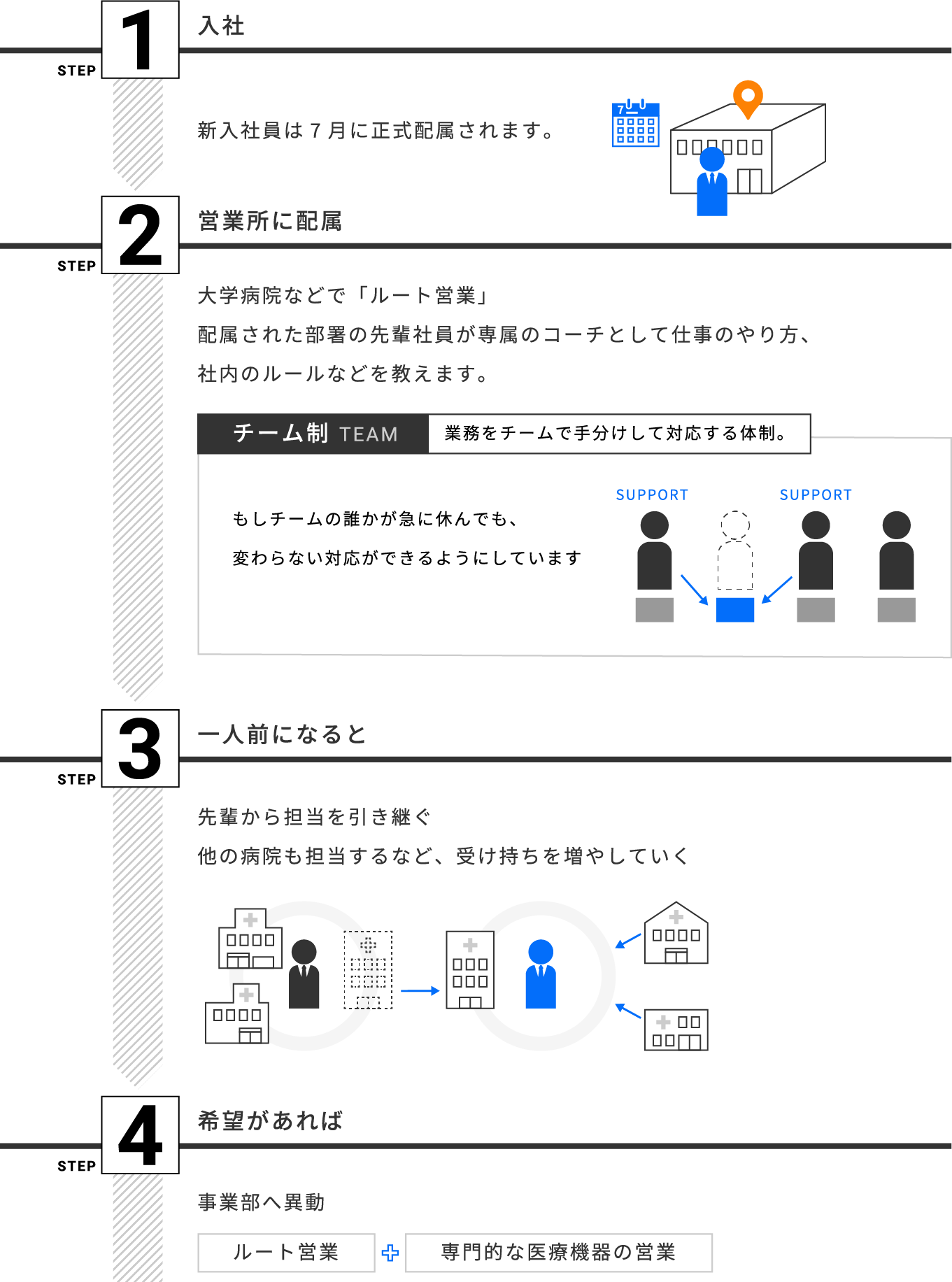 入社から一人前になるまでの流れ